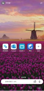 安卓微软Edge浏览器v139.0.3405.86-2号集市