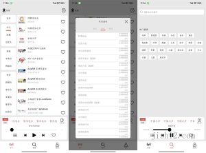安卓小旋风v1.1.6收听全国广播-2号集市